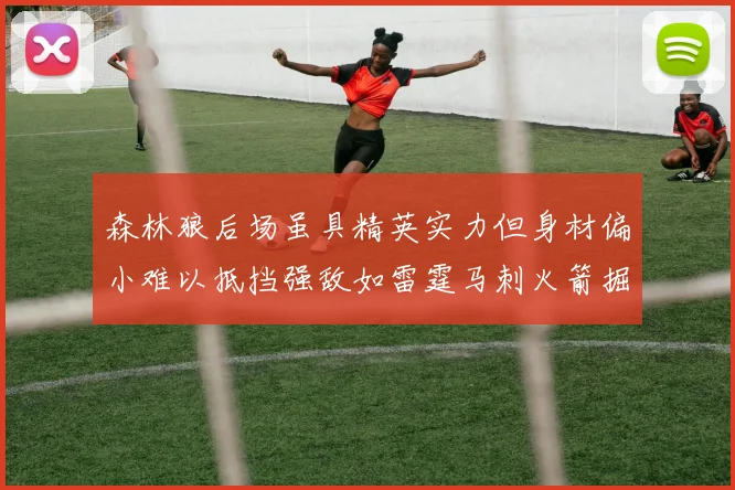 森林狼后场虽具精英实力但身材偏小难以抵挡强敌如雷霆马刺火箭掘金