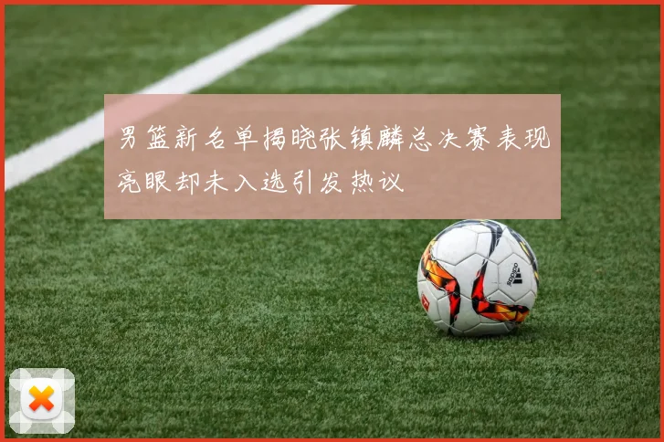 男篮新名单揭晓张镇麟总决赛表现亮眼却未入选引发热议